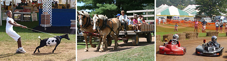 Three county fair scenes.